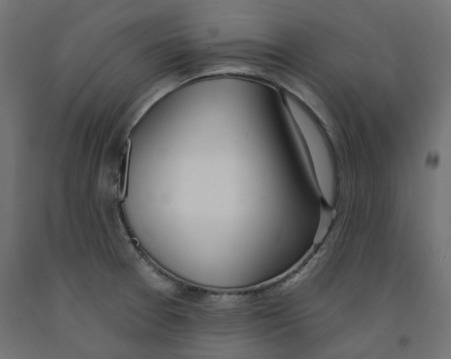 X0000091971377200710041040