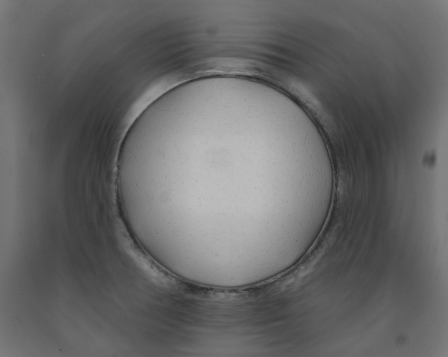 X0000091971378200710041040