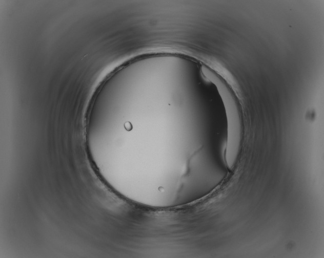 X0000091971380200710041040