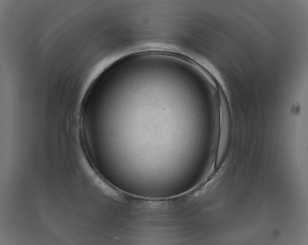 X0000091971381200710041040