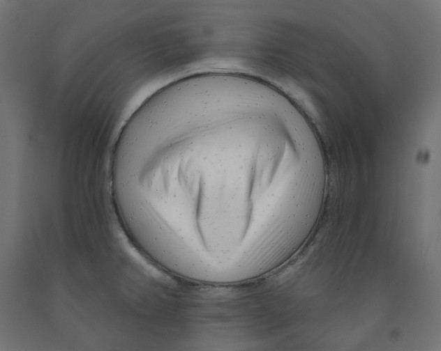 X0000091971382200710041040