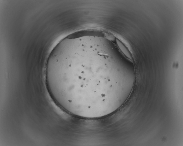 X0000091971383200710041040