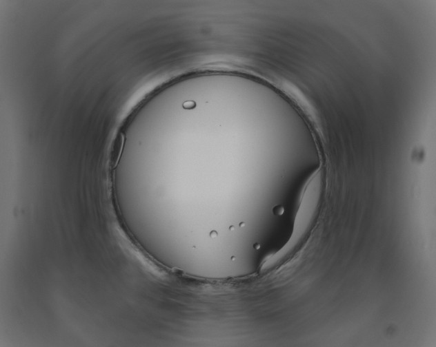 X0000091971384200710041040