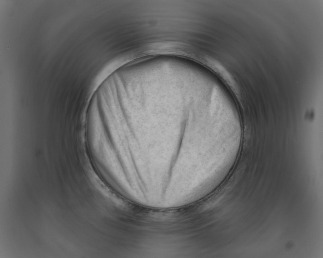X0000091971386200710041040