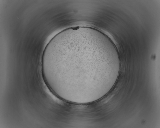 X0000091971387200710041040