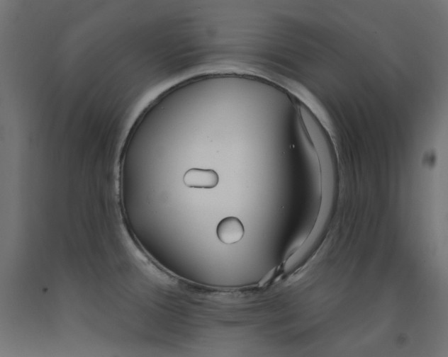 X0000091971388200710041040