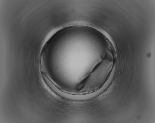 X0000091971389200710041040
