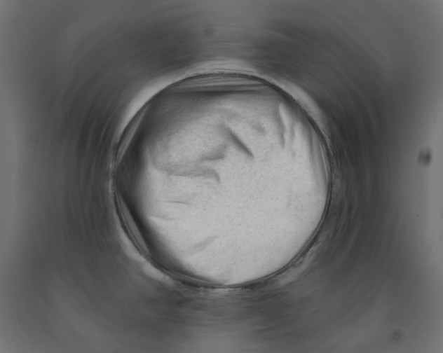 X0000091971390200710041040