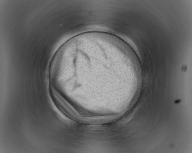 X0000091971391200710041040