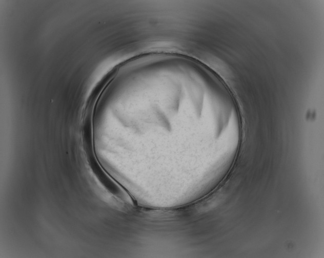 X0000091971392200710041040