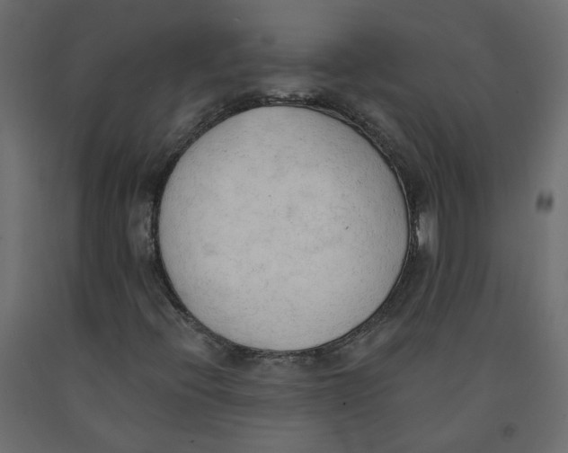 X0000091971396200710041039