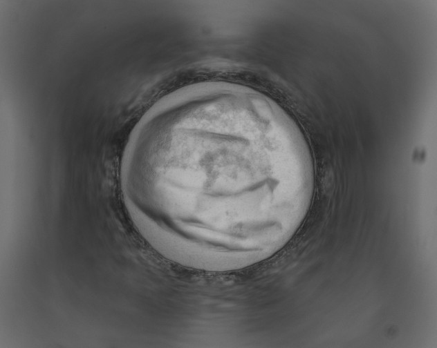 X0000091971397200710041039