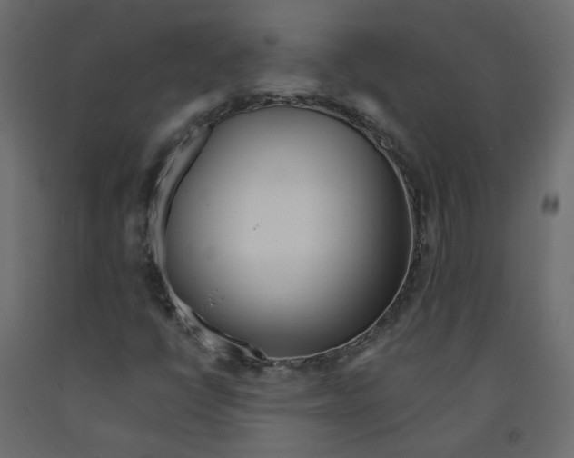 X0000091971398200710041039