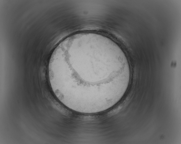 X0000091971401200710041040