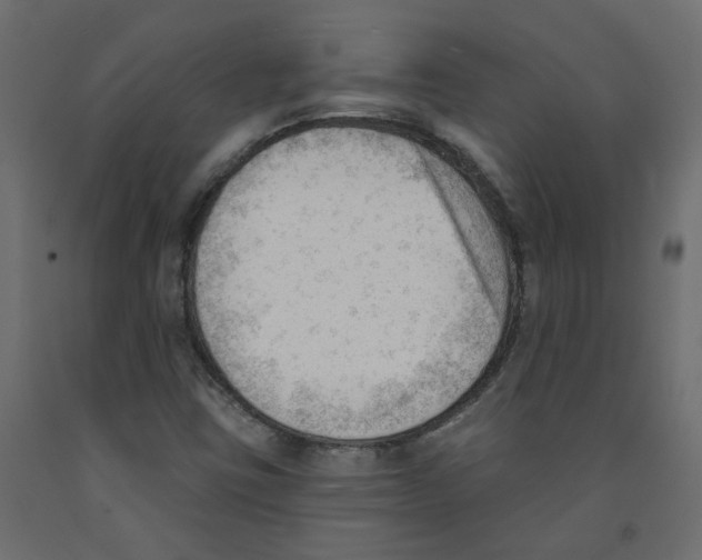 X0000091971403200710041040