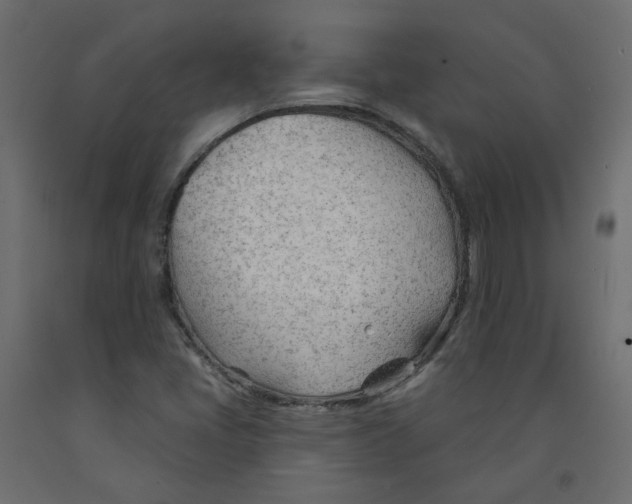 X0000091971405200710041040
