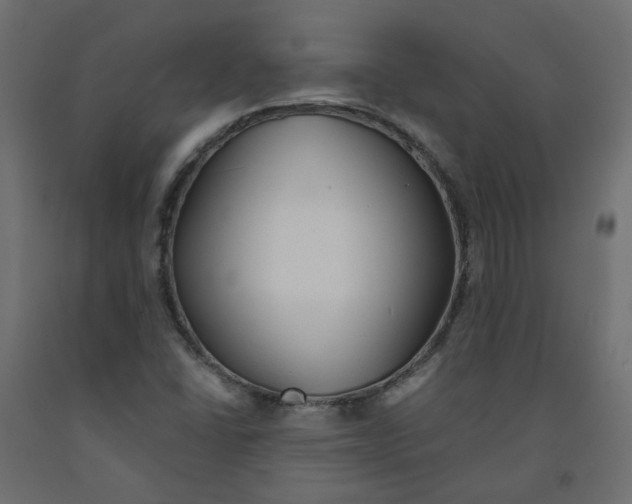 X0000091971406200710041040