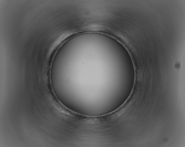 X0000091971410200710041040