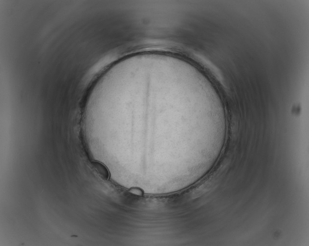 X0000091971411200710041040