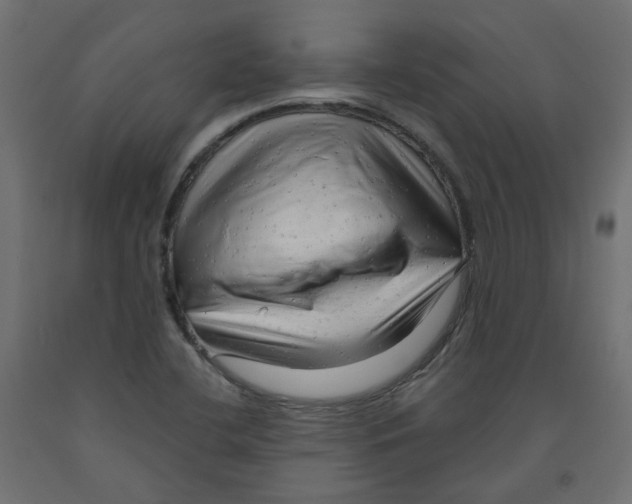 X0000091971412200710041040