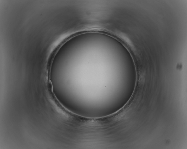X0000091971414200710041040
