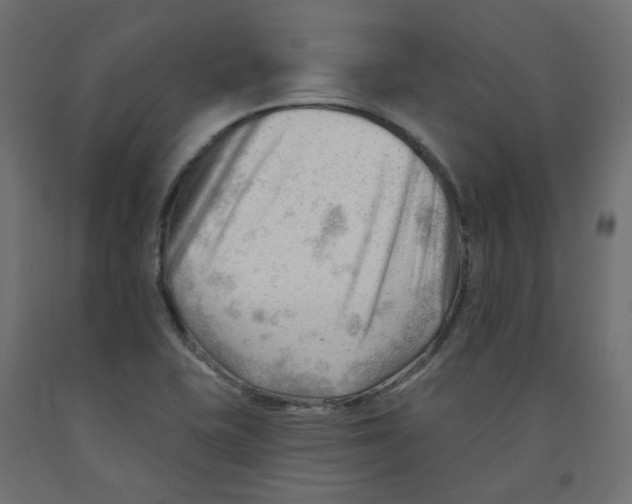X0000091971415200710041040