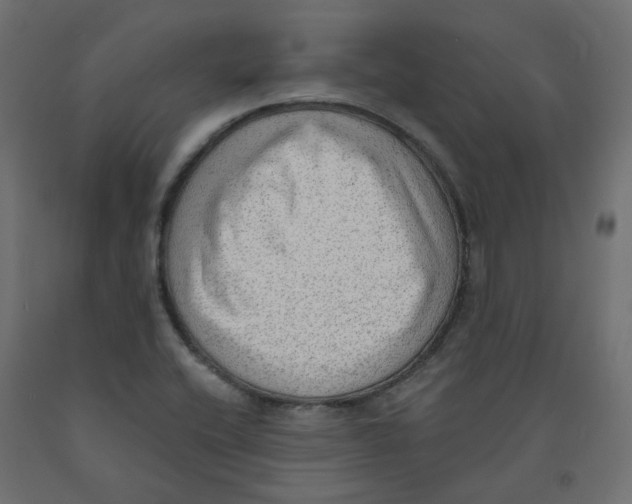 X0000091971416200710041040