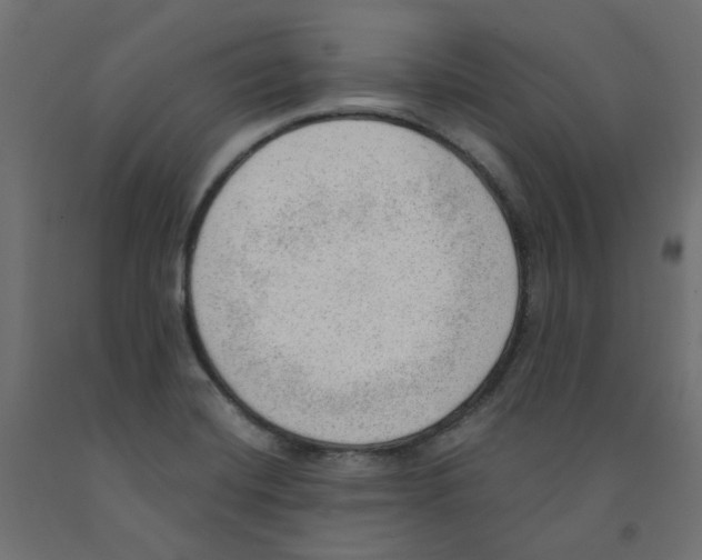 X0000091971420200710041040