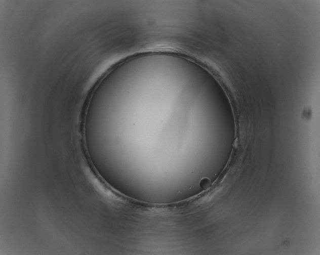 X0000091971422200710041040