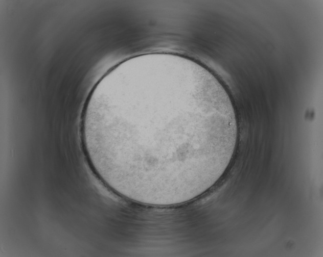 X0000091971423200710041040