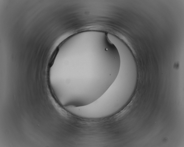 X0000091971426200710041040