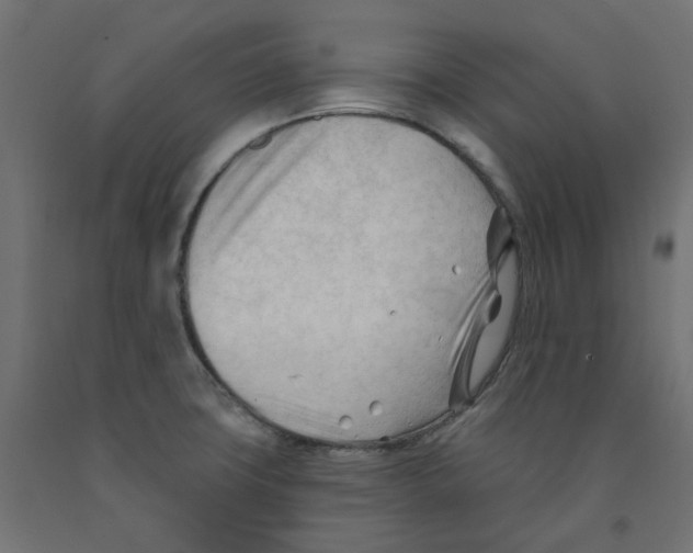 X0000091971427200710041040