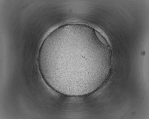 X0000091971429200710041040
