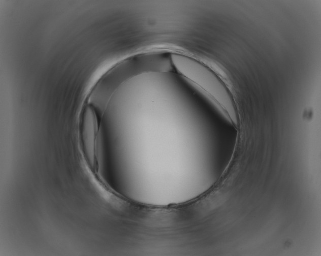 X0000091971430200710041040