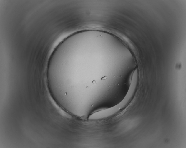 X0000091971432200710041040
