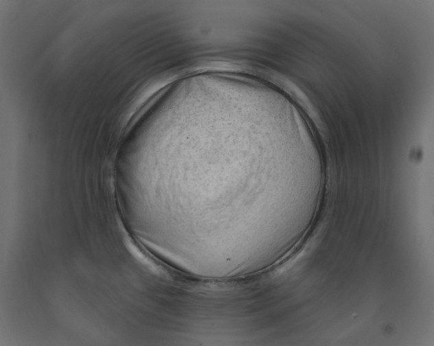 X0000091971433200710041040