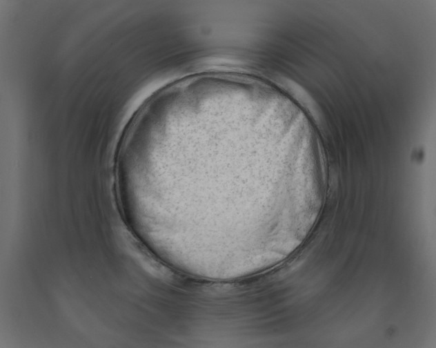 X0000091971435200710041040