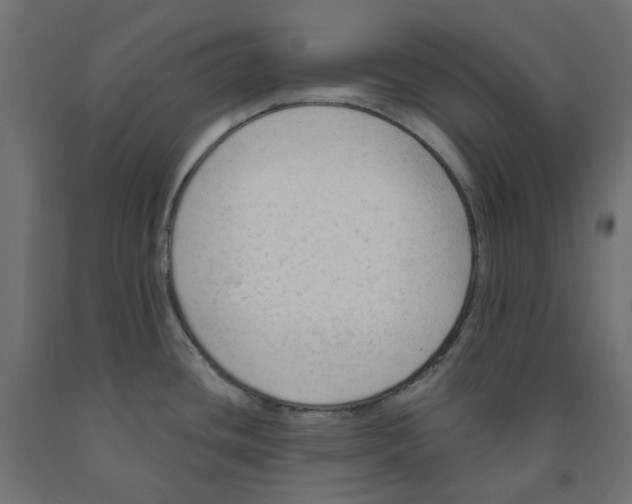 X0000091971436200710041040