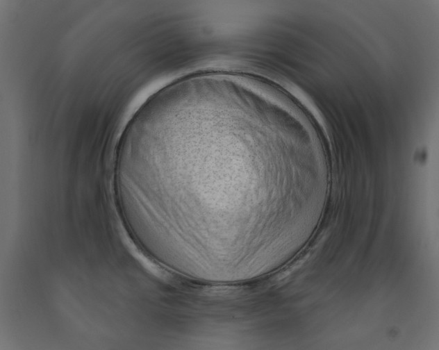 X0000091971437200710041040