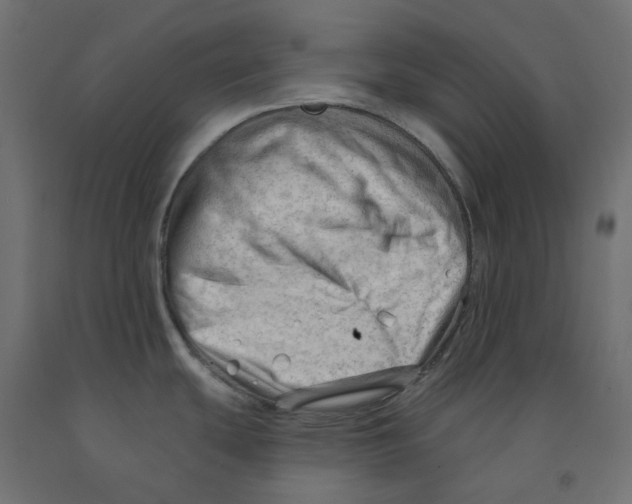 X0000091971439200710041040