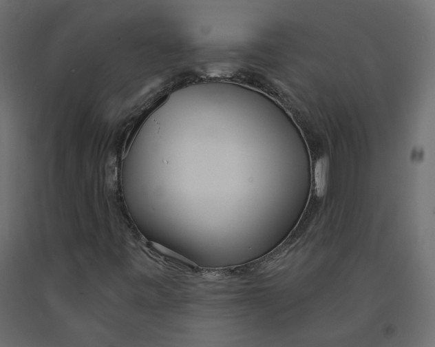 X0000091971443200710041039