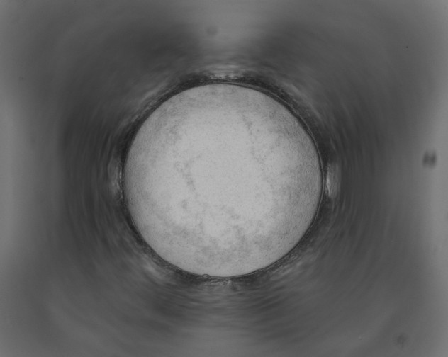 X0000091971444200710041039