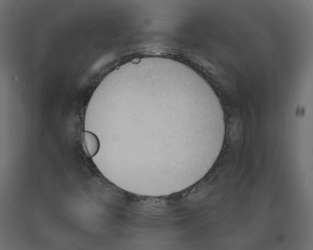 X0000091971446200710041039