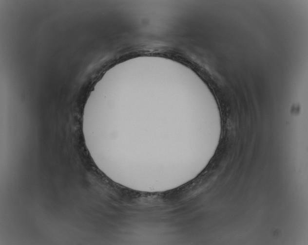 X0000091971447200710041039