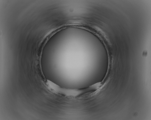X0000091971449200710041039
