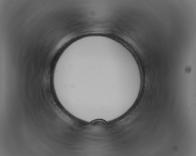 X0000091971450200710041039