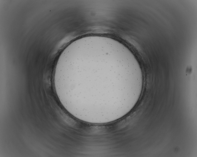 X0000091971451200710041039