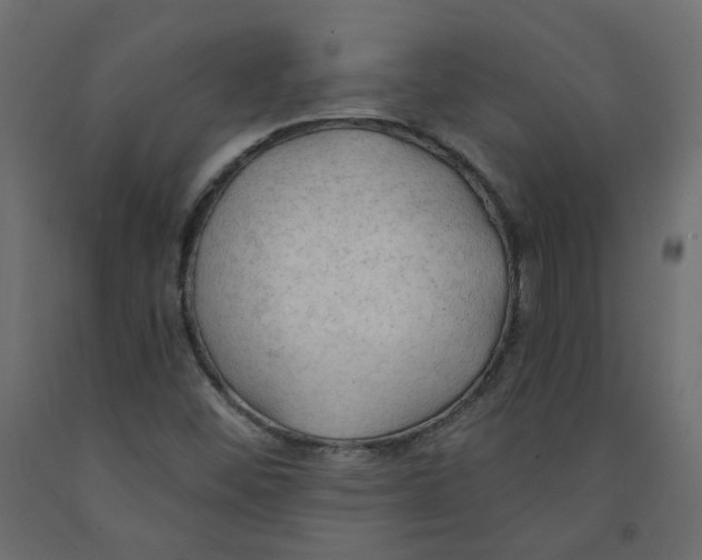 X0000091971452200710041039