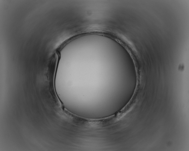 X0000091971453200710041039