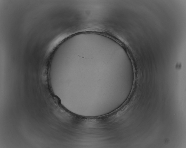 X0000091971455200710041039